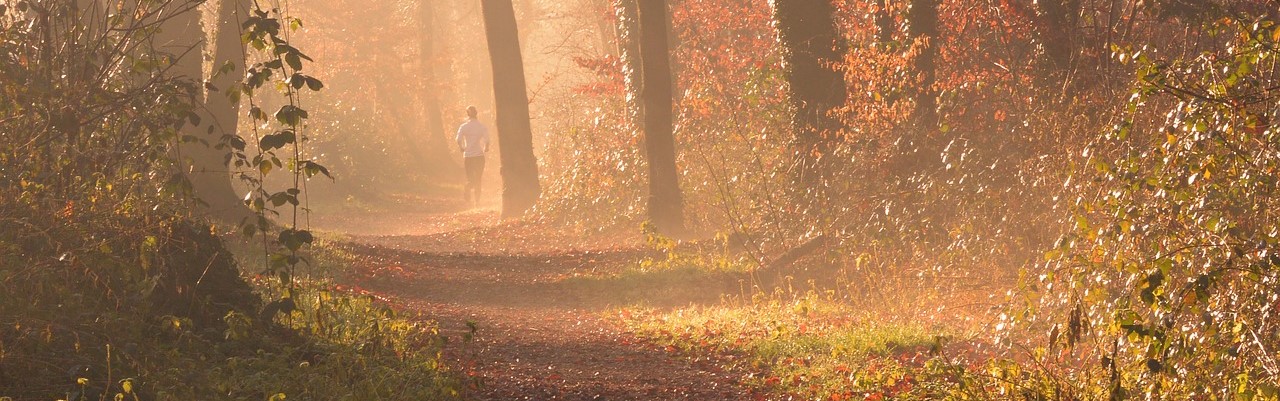 Laufen im Herbst